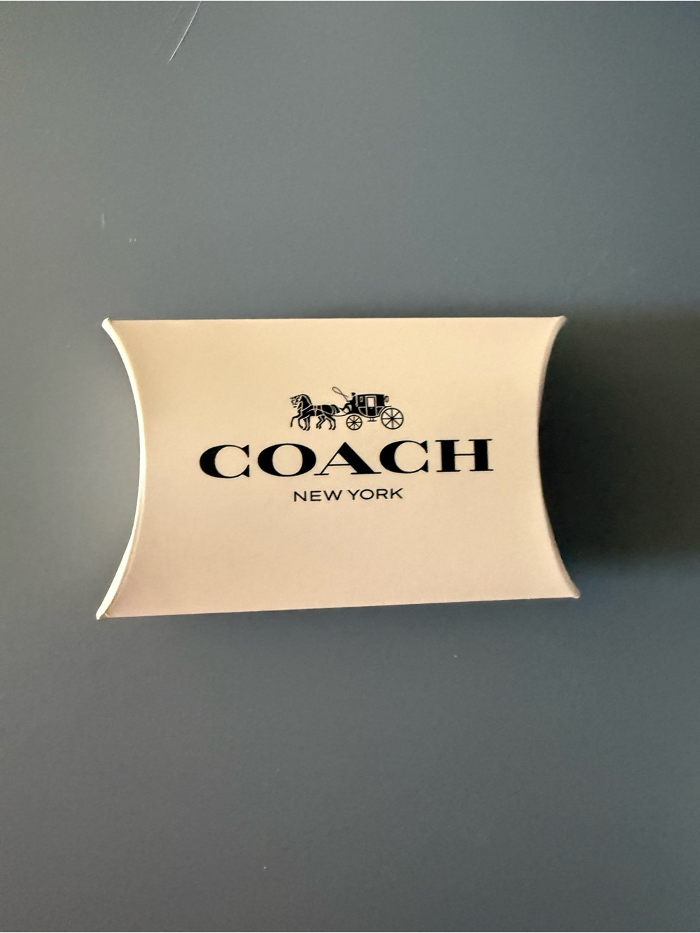Coach Silver Floral Pendant Necklace - Picture 3 of 5